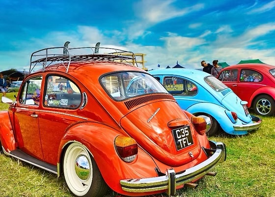 Beetle Fest en La Florida: conoce cuándo y dónde se realizará el evento